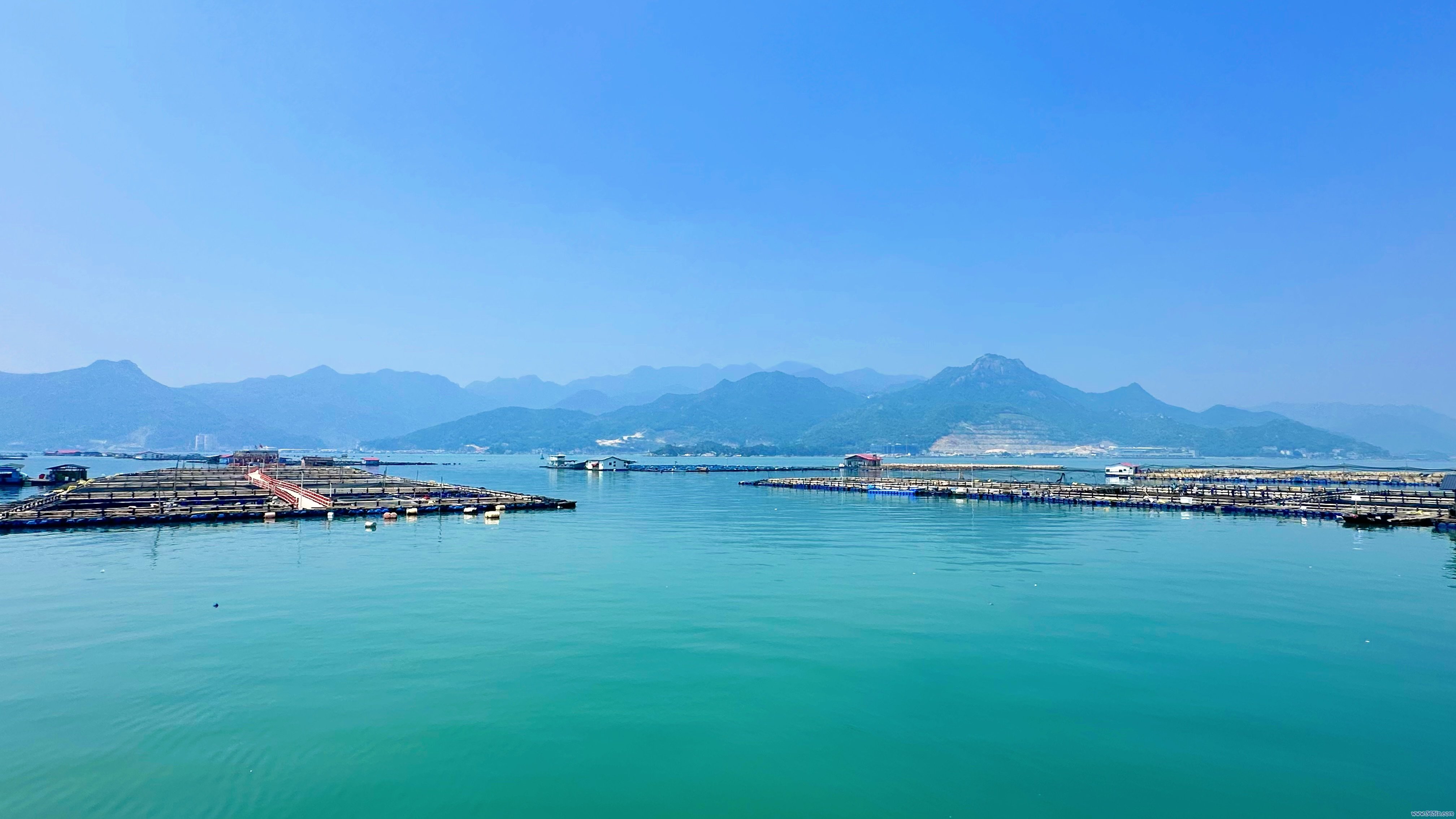 福建宁德大黄鱼生息基地。东说念主民网记者 王绍绍摄