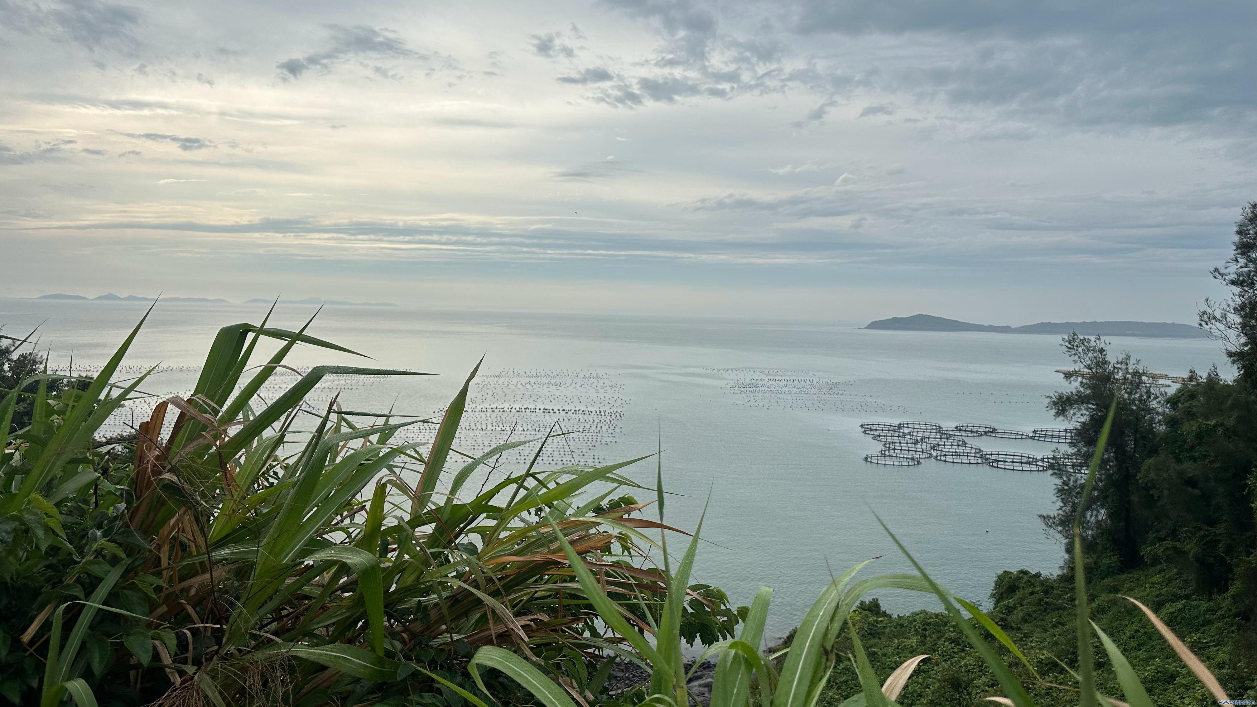 大陈岛海边。东说念主民网记者 王绍绍摄