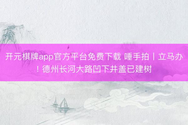开元棋牌app官方平台免费下载 唾手拍丨立马办! 德州长河大路凹下井盖已建树